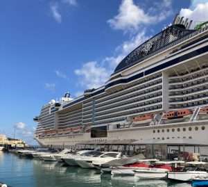 ruise Ship Size Comparison Pros and Cons of Large vs Small - Lucy Williams Global
