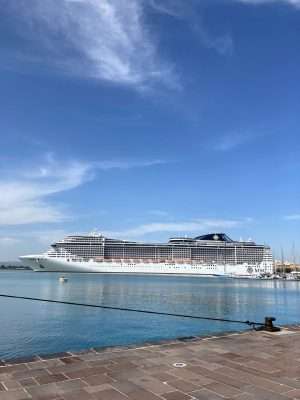 Cruise Ship Size Comparison Pros and Cons of Large vs Small - Lucy Williams Global
